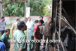 Short Circuit: Electric shop gutted in fire at Kulshekar; heavy loss estimated